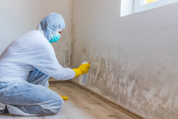 Licensed Commercial Mold Remediation service in Sims, NC - WQB Mold Removal