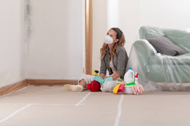 Reliable Commercial Mold Remediation contractor in Sims, NC by WQB Mold Removal